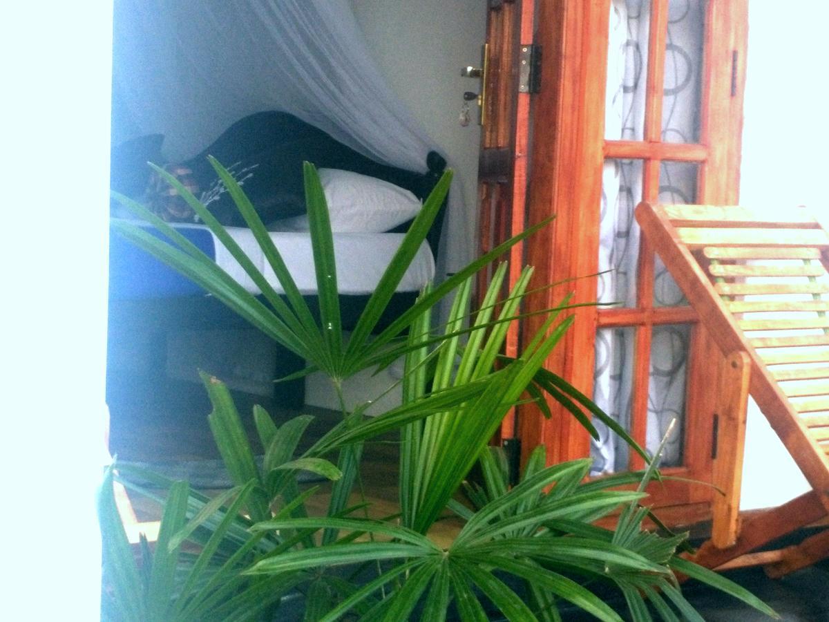 Bed and Breakfast Zircon Елла Екстер'єр фото